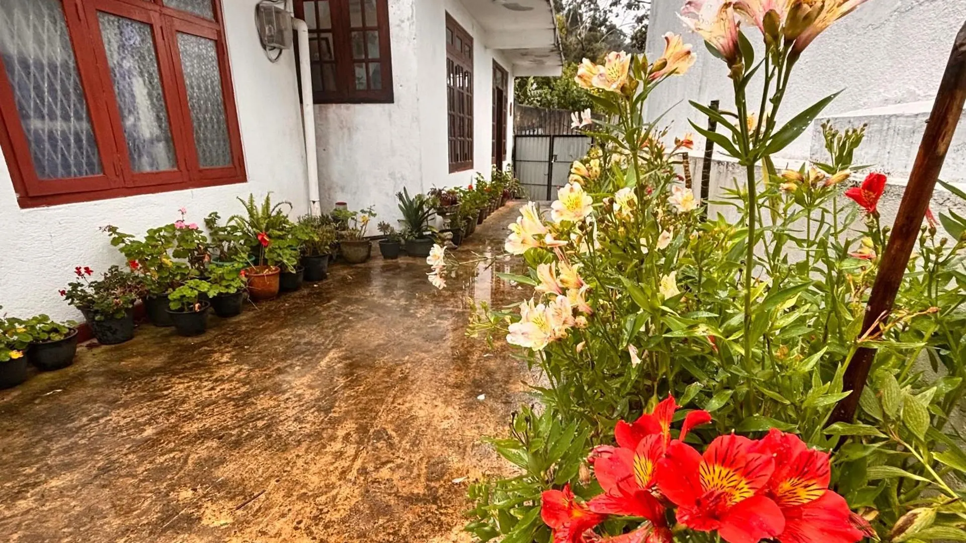 Guest house Shiny View Hotel Nuwara Eliya